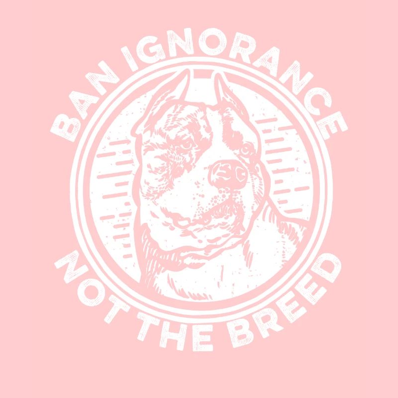 Pitbull Pitbull Interdiction