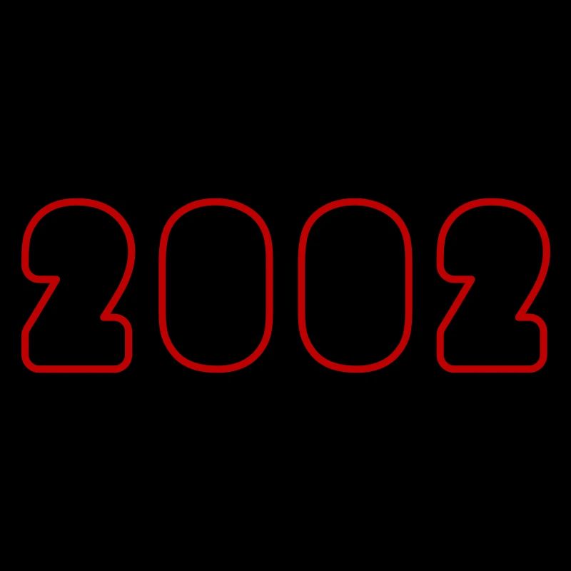 2002 Year Birthday