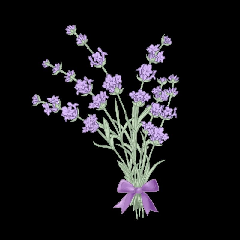 Bouquet de lavande