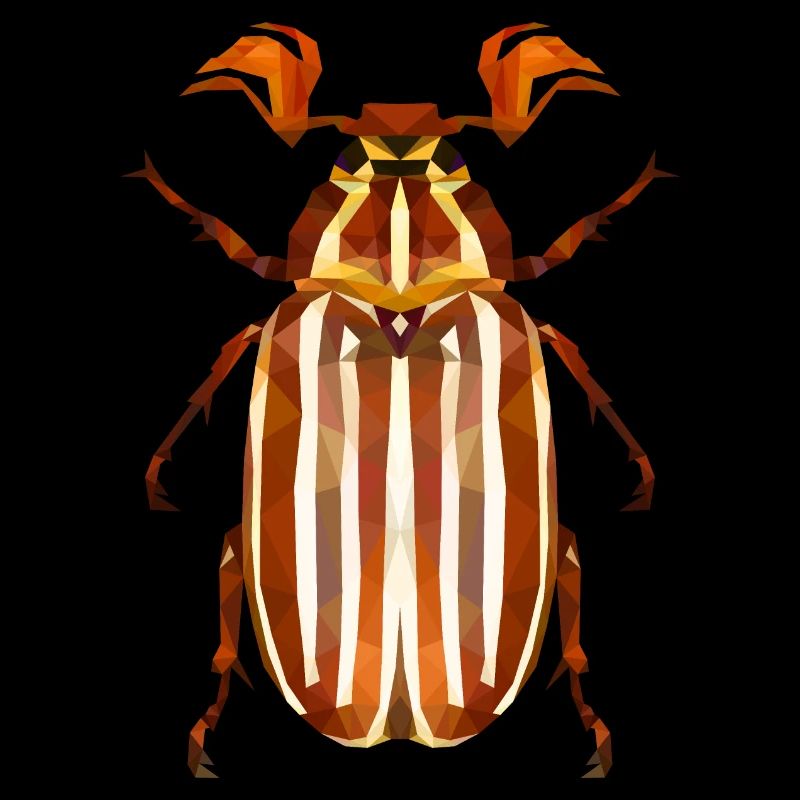 Coléoptère de la pastèque