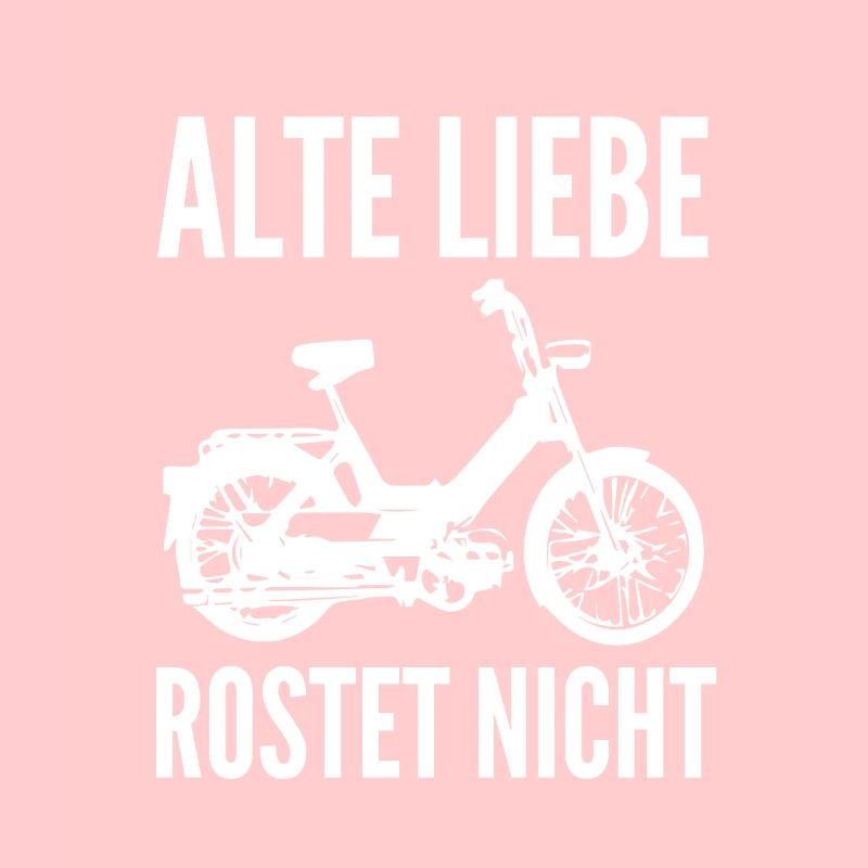 DDR Moped Oldtimer Roller Mofa Scooter 2 Takter