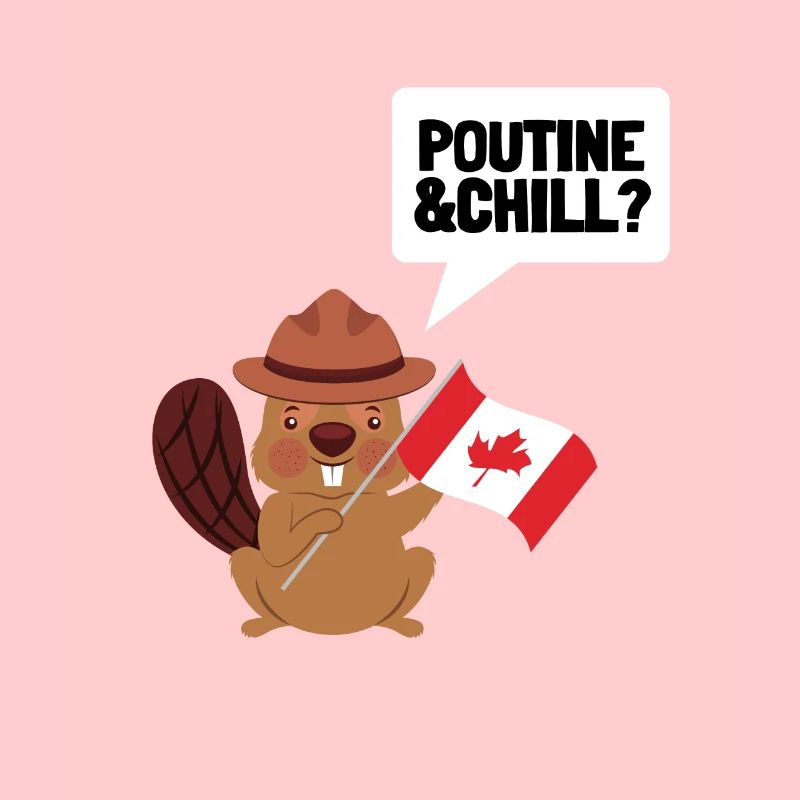 Cheese Curds Gravy Mix Canada Poutine