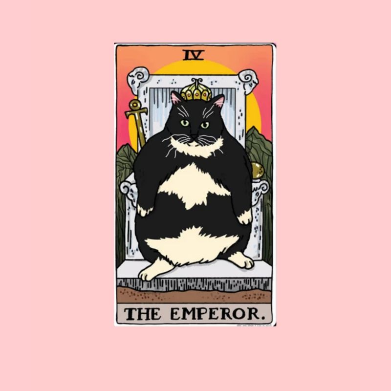 Fat Cat Obesity