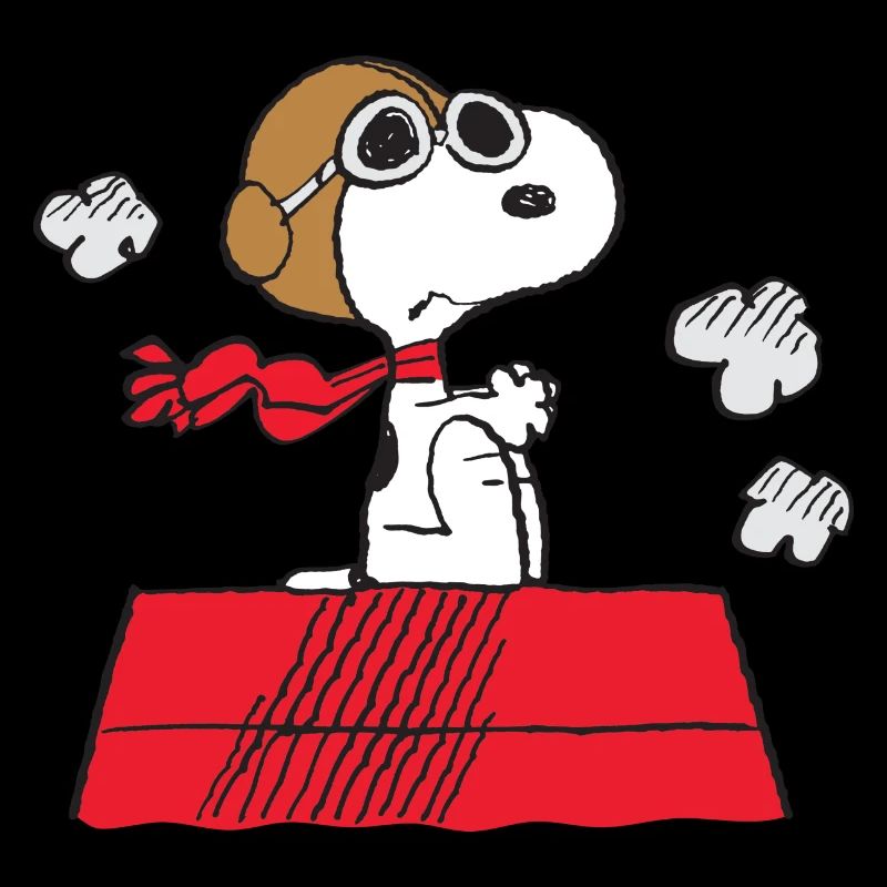 Peanuts Snoopy Pilot Fliegen