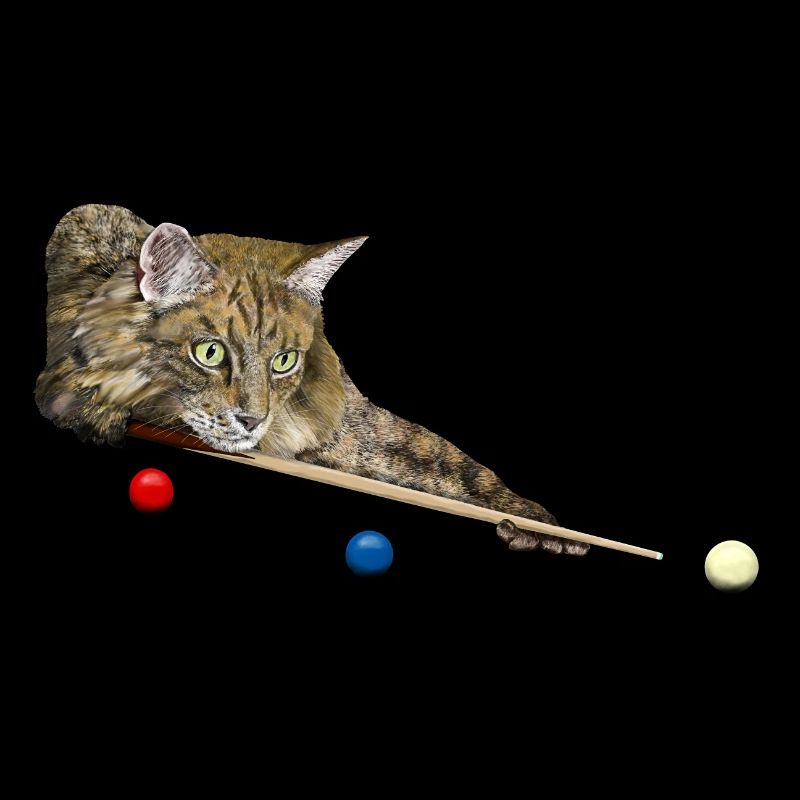 CHAT DE BILLARD ET DE BILLARD, 8 BALLES, 9 BALLES - CHAT JOUANT