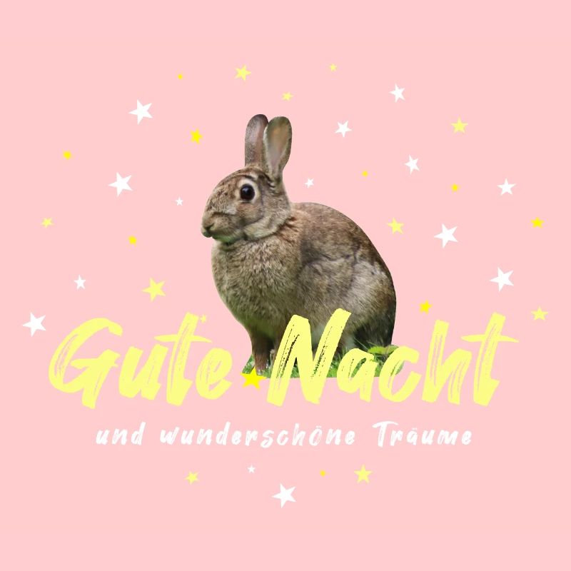 Schlafshirt mit Hasen