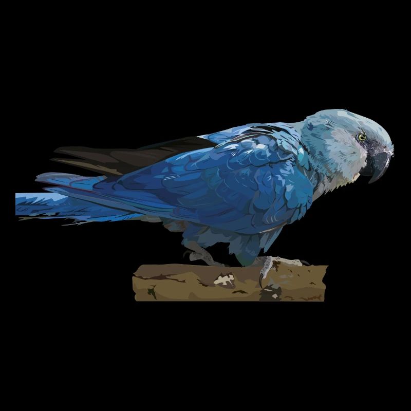 Ara de Spix
