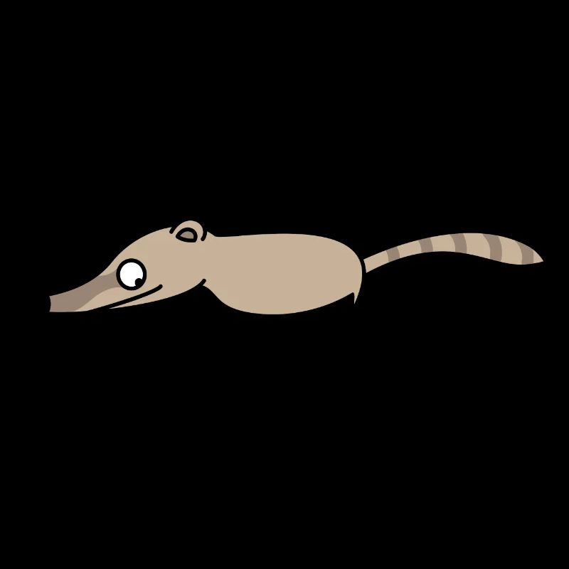 Funny coati