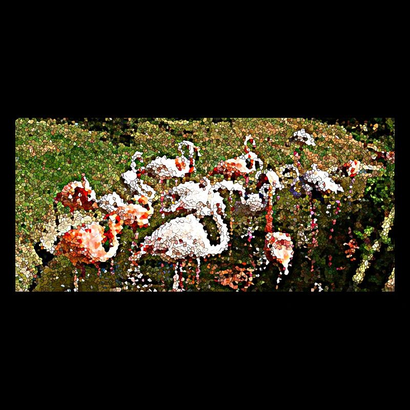 Flamingos