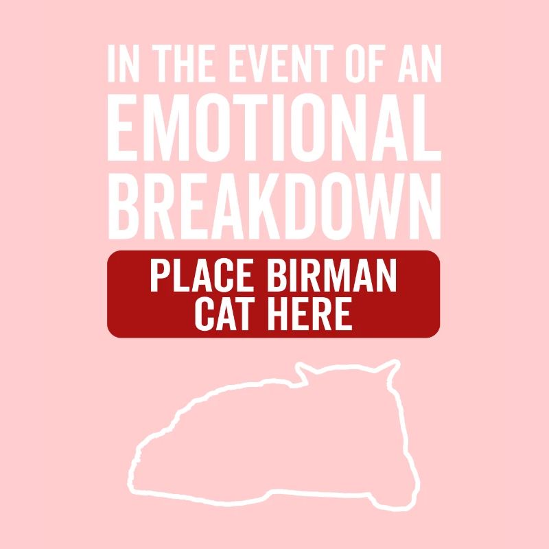 Emotional - Birman Katze