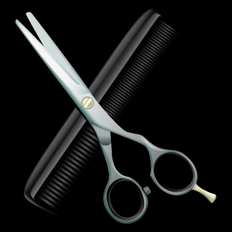 Ciseaux de coiffure avec peigne
