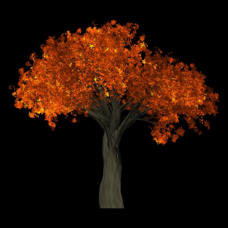 Tree with orange leaves - Autumn