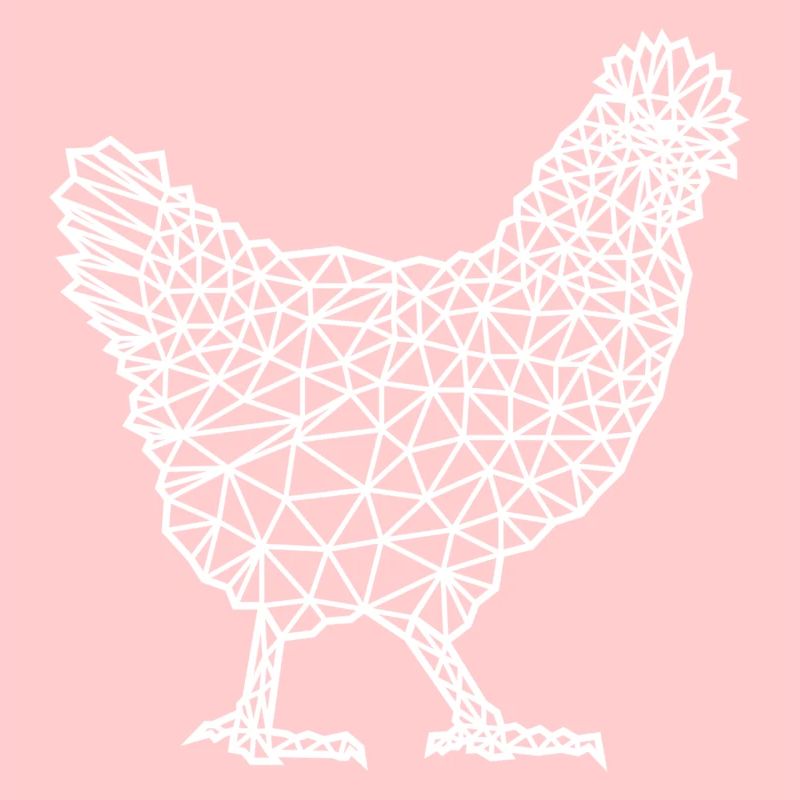 Rooster Chicken Stall Eggs Farm