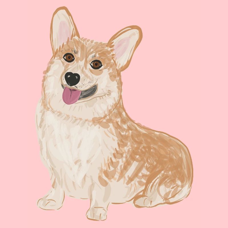 Sitzender Corgi