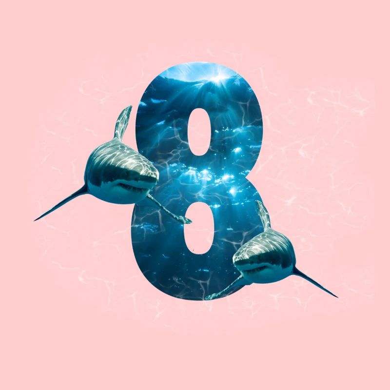 Geburtstagsshirt 8 Hai