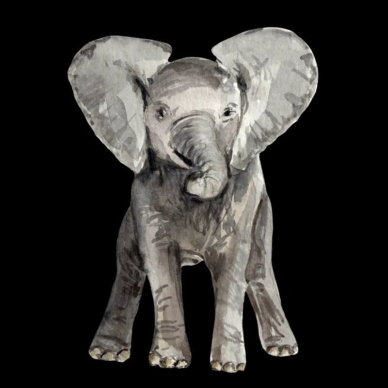 Éléphant bébé