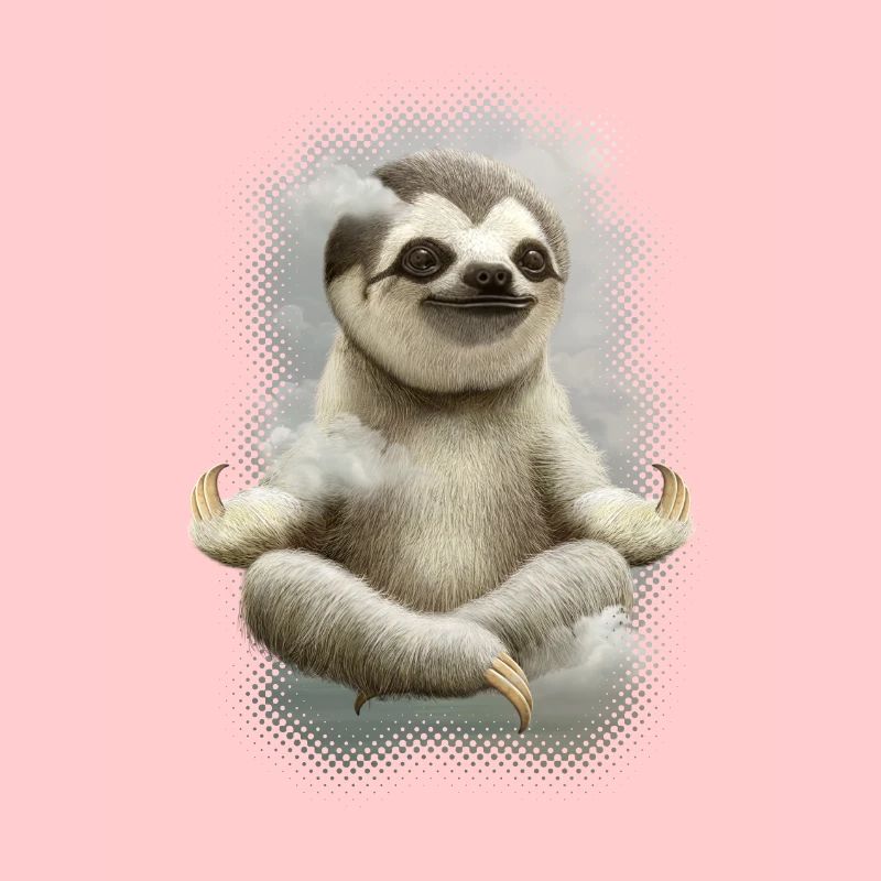 SLOTH MEDITATE FINAL
