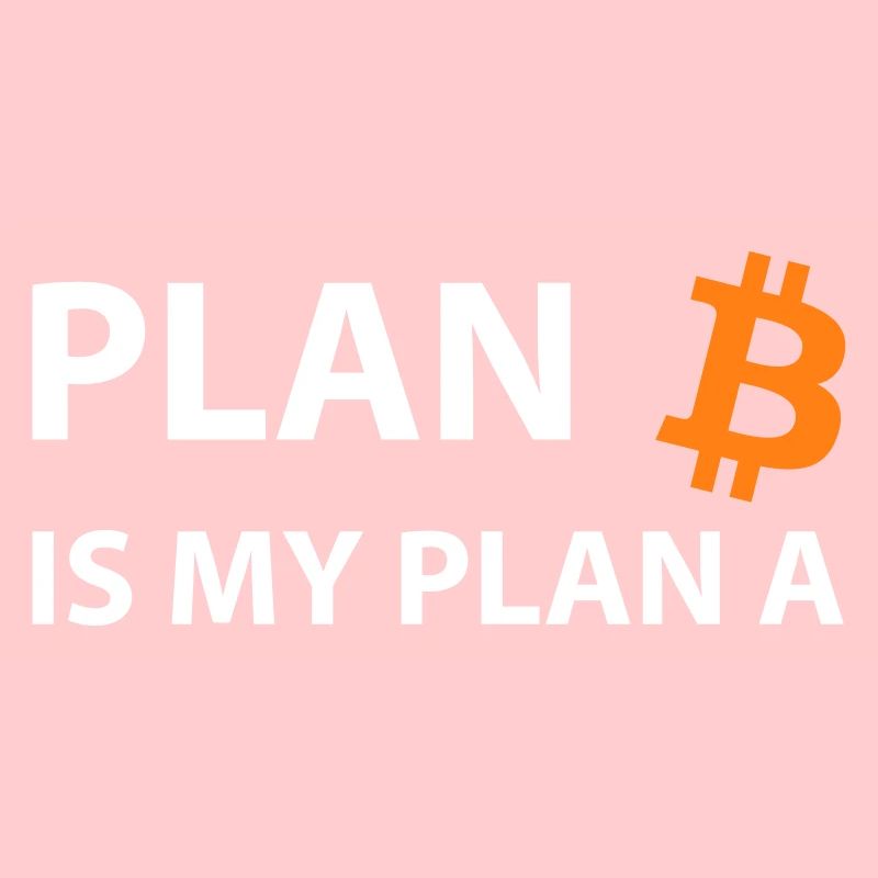 Planifier Bitcoin Mon Plan A B Crypto