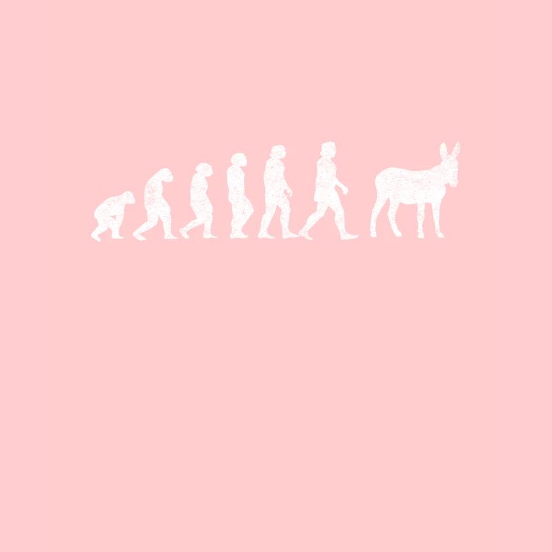 Esel Maultiere Maultier Mulis Evolution