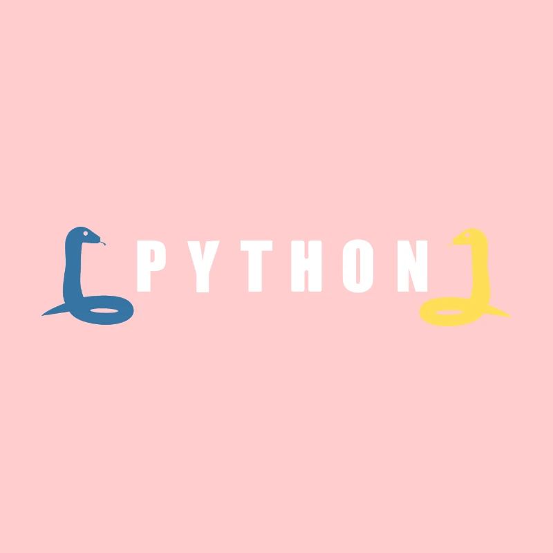 Python Entwickler Programmierer Coder Geschenkidee