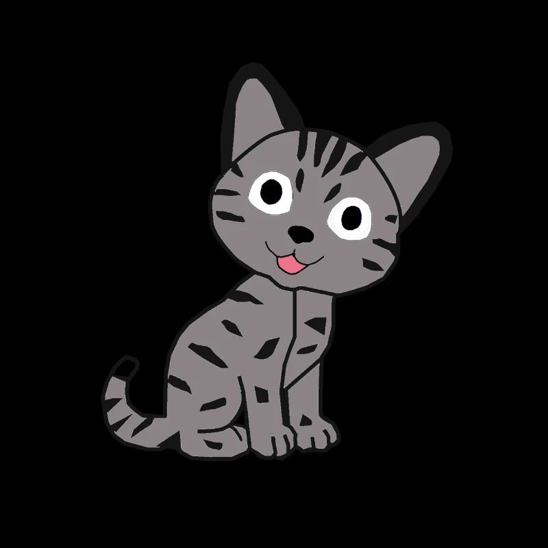 Chat