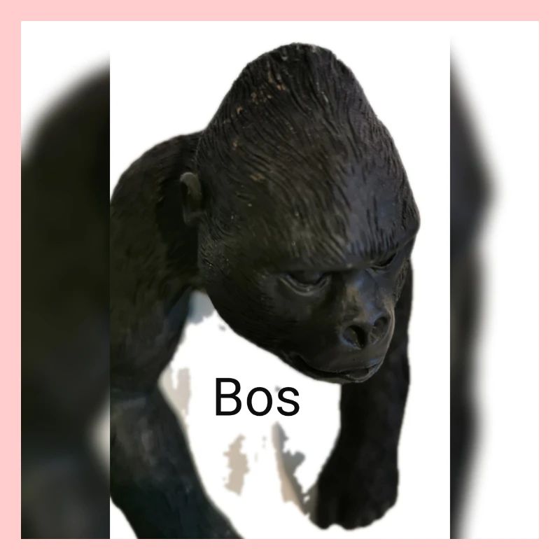 Gorilla