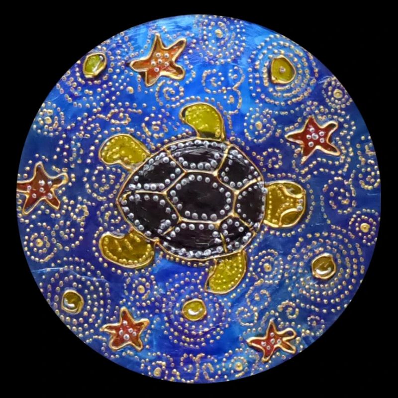 Modifizierte blaue CD Schildkröte 1