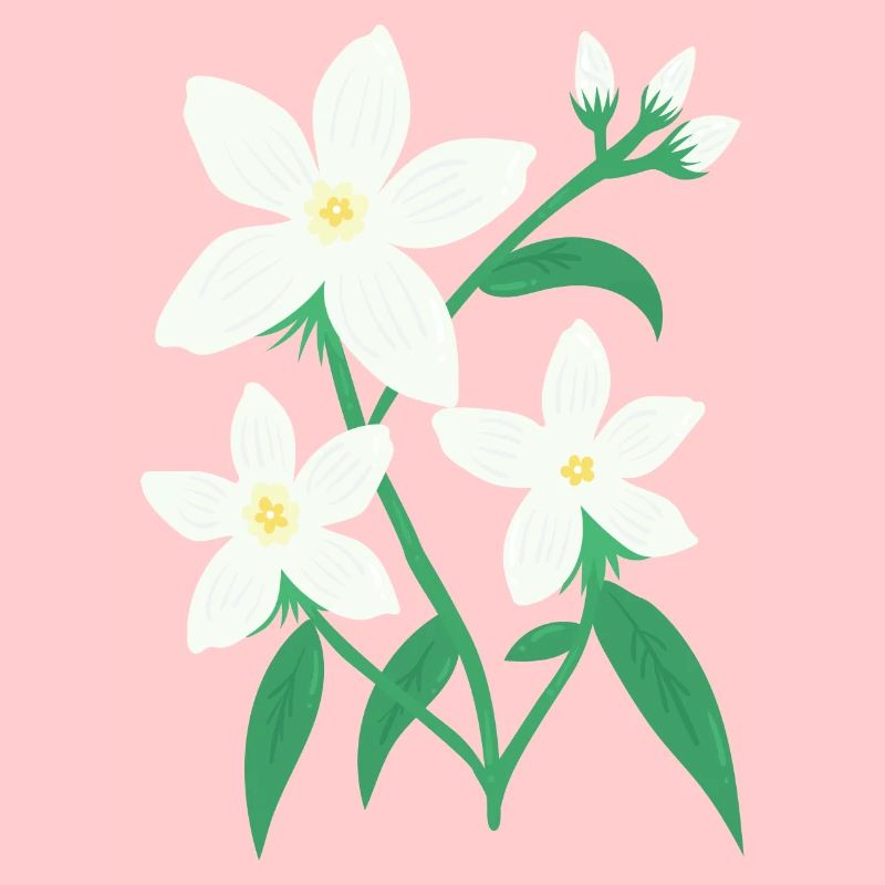 Jasmine