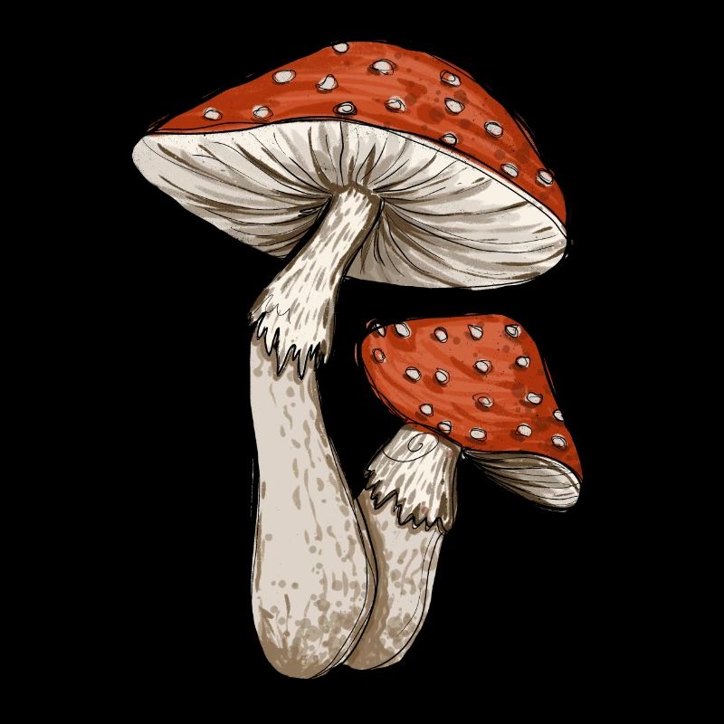 Toadstools Illustration