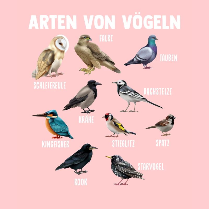 Vogel Vögel Vogelarten Geschenk