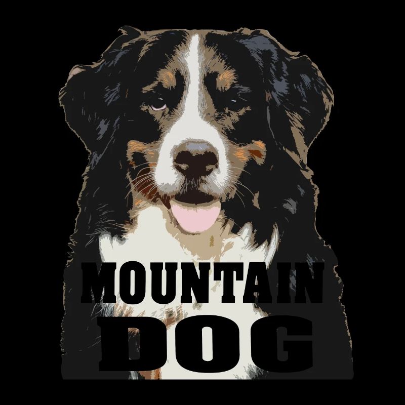 Bernese Mountain Dog