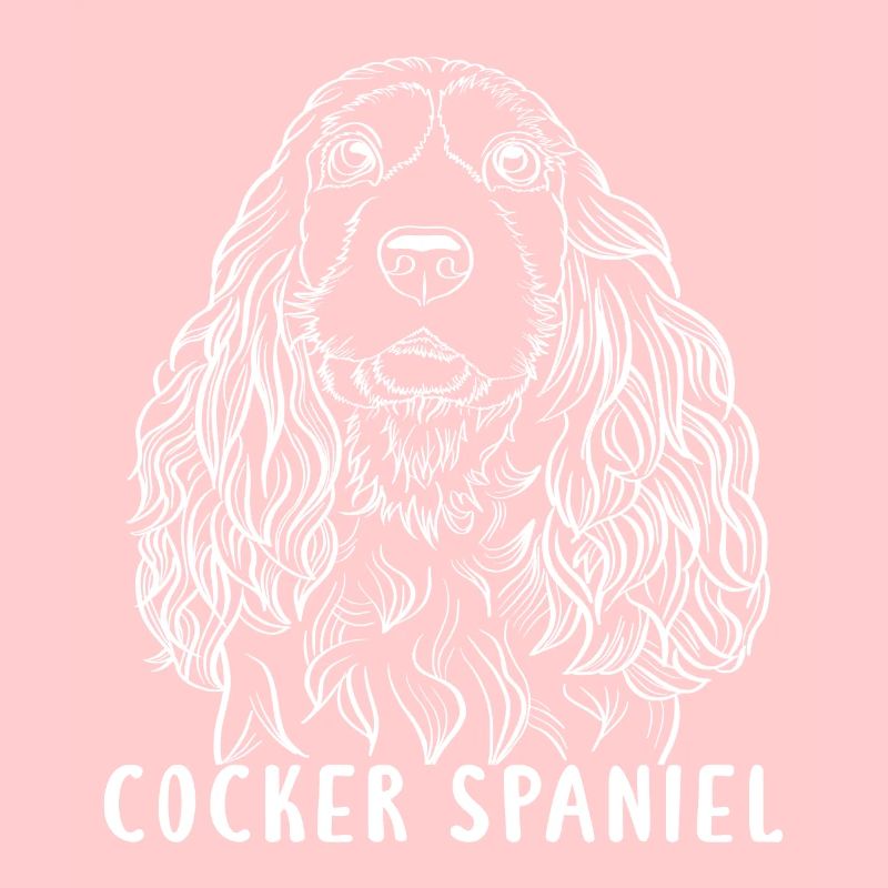 cocker spaniel hund