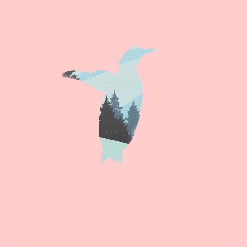 Pinguin Pinguine Südpol