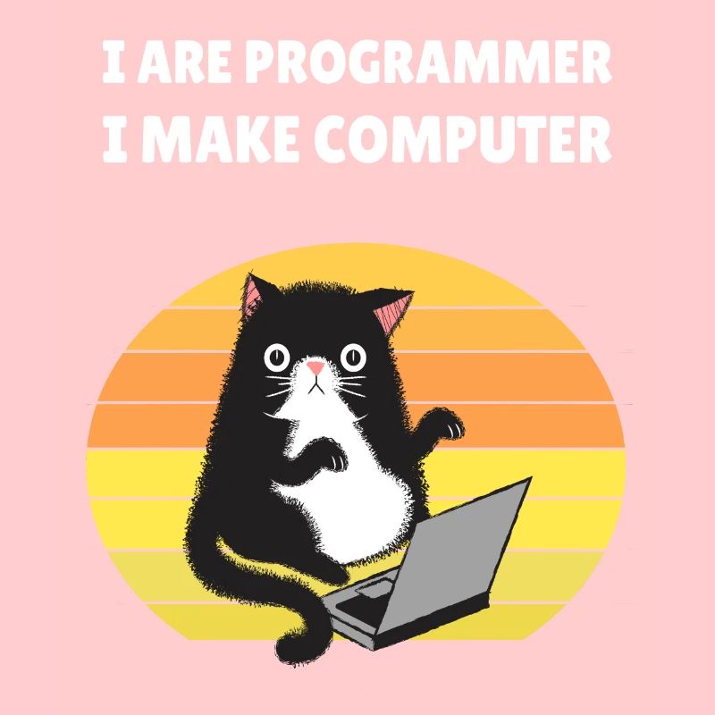 I are Programmer I Make Computer
