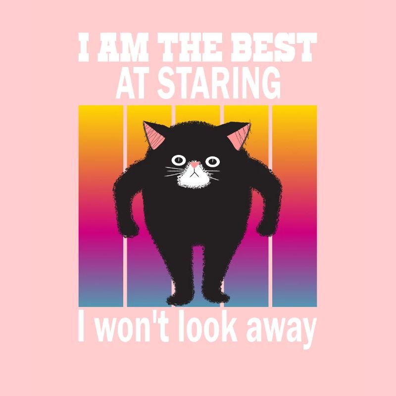 Starrende Katze - Katzen Starren
