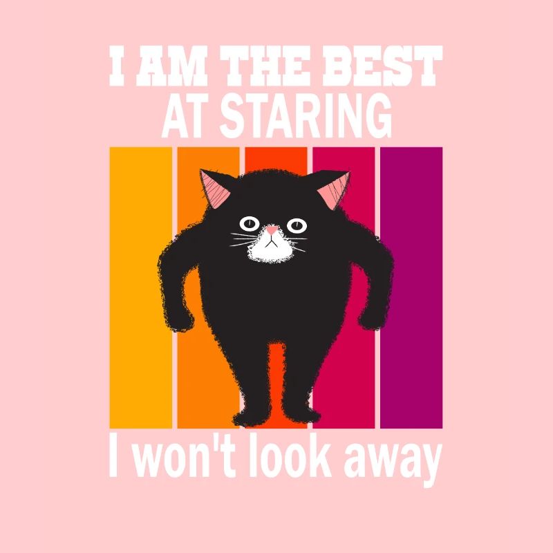 Starrende Katze - Katzen Starren