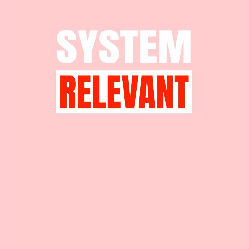 Systemrelevant System relevant
