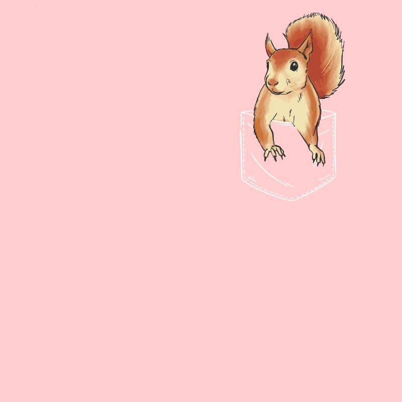 Eichhörnchen Tier