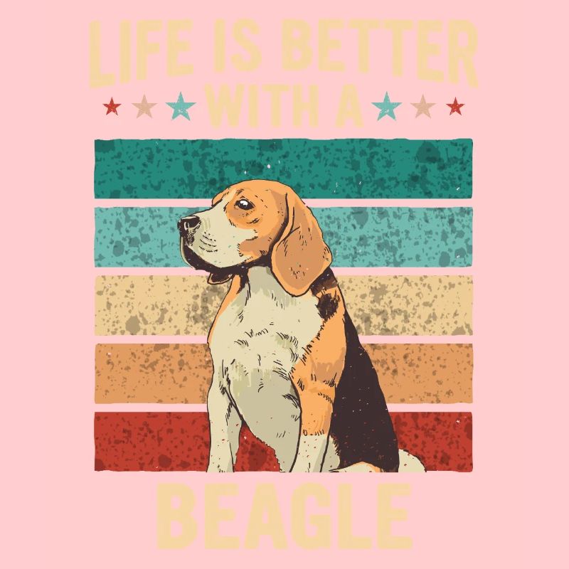 Beagle Hund