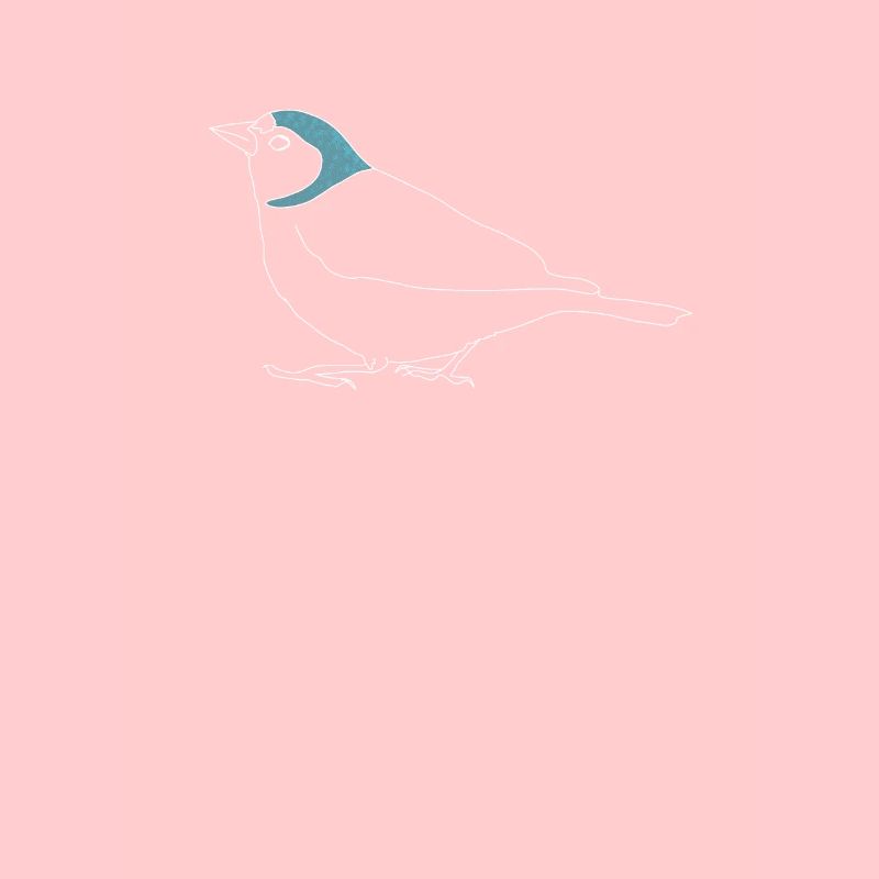 Buchfink