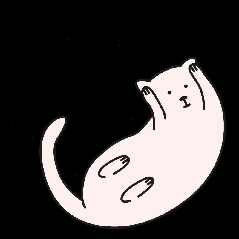Space Cat Version 2