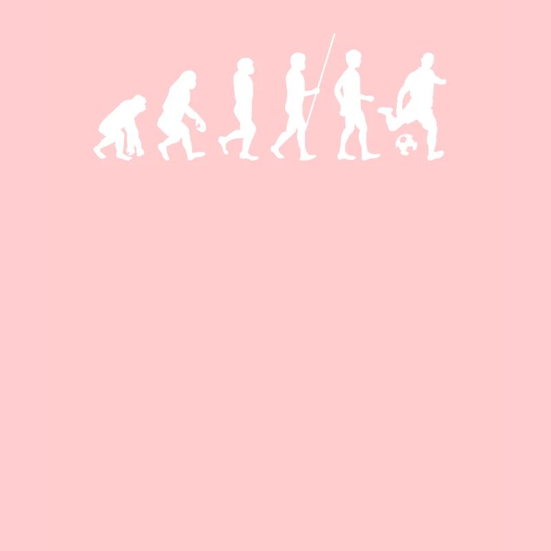 Fußball Evolution