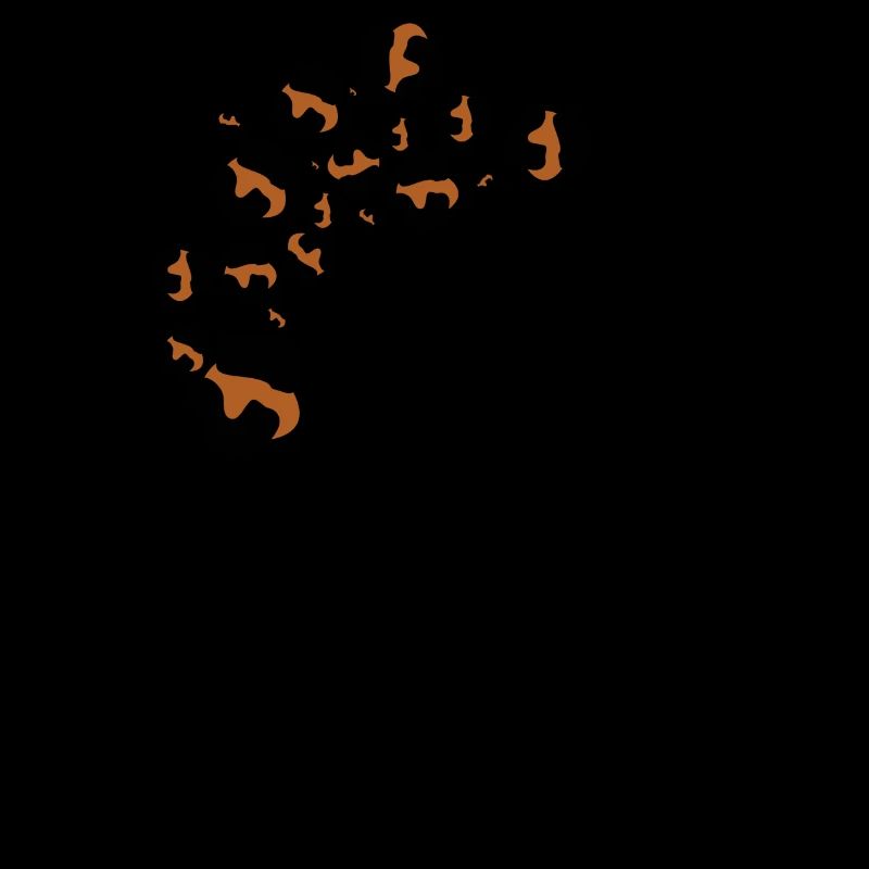 Lettre x motifs léopard
