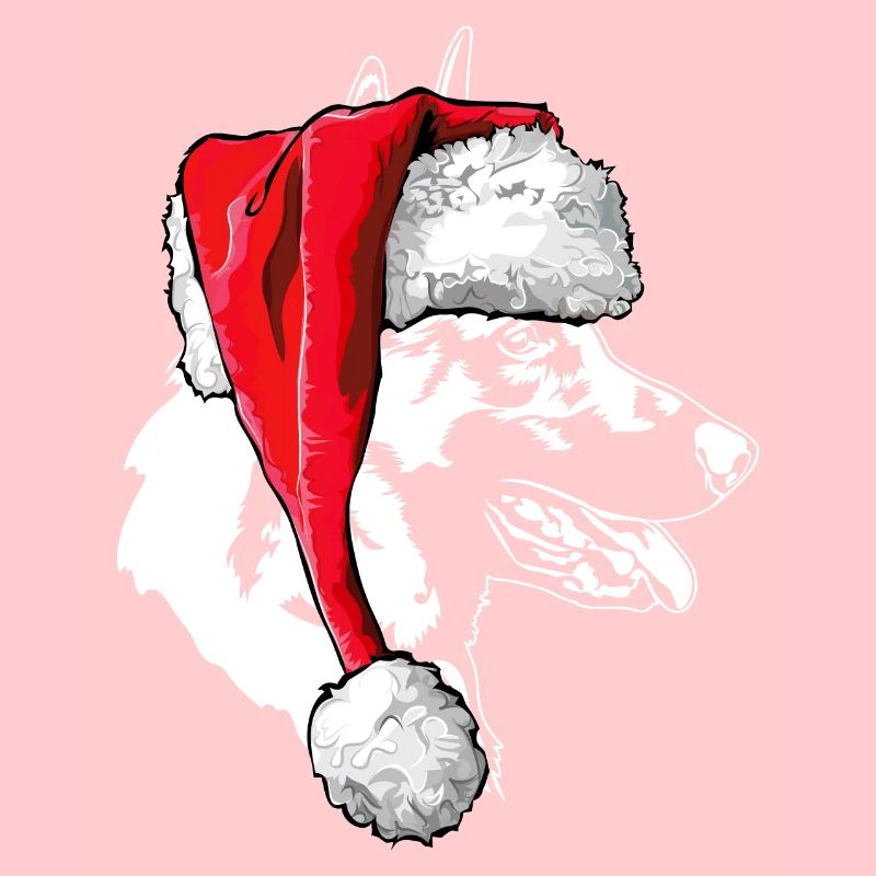 Père Noël Malinois Saint-Nicolas chiens Wilsigns