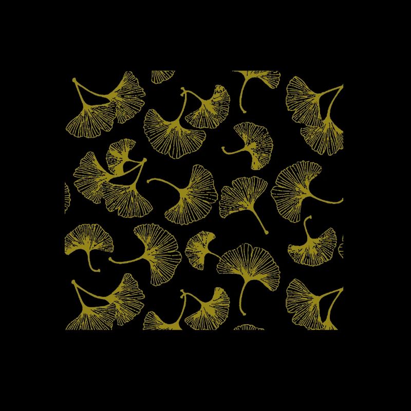 Feuilles de gingko