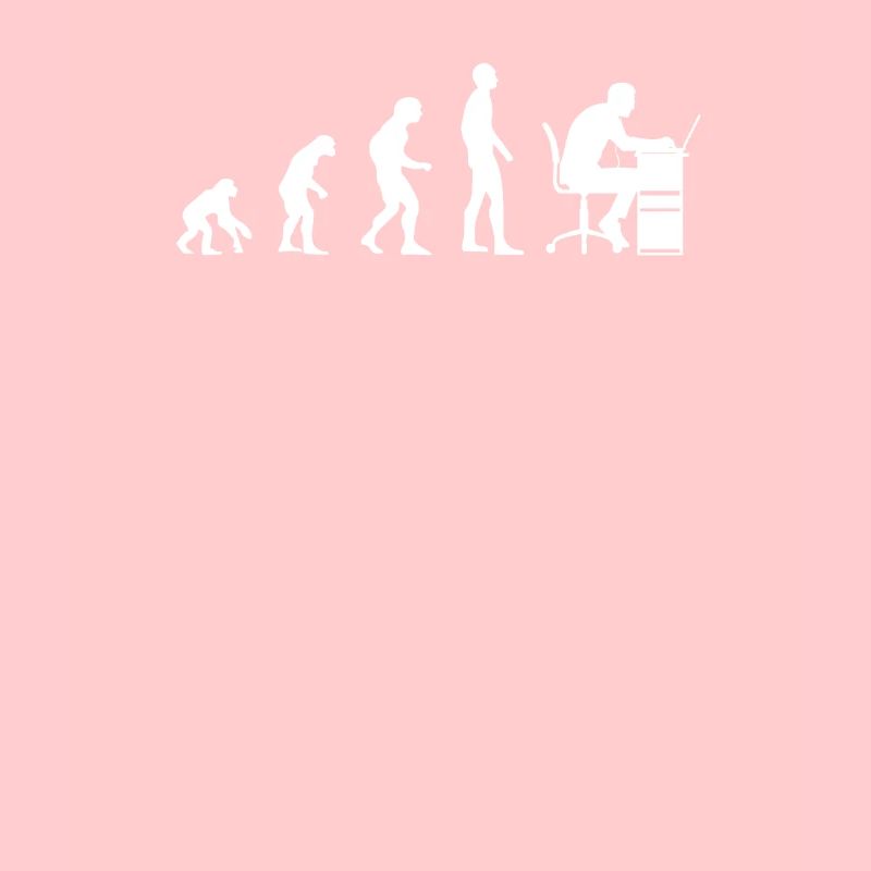Programmeurs