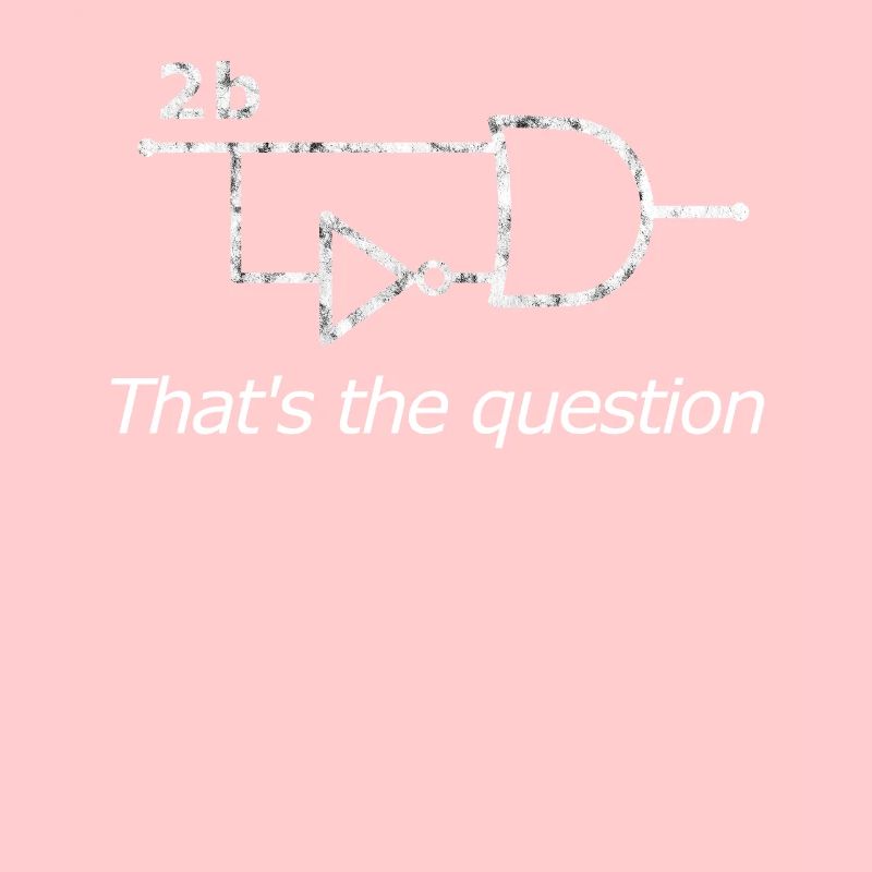 2b or not 2b Circuit - computer scientist programmer