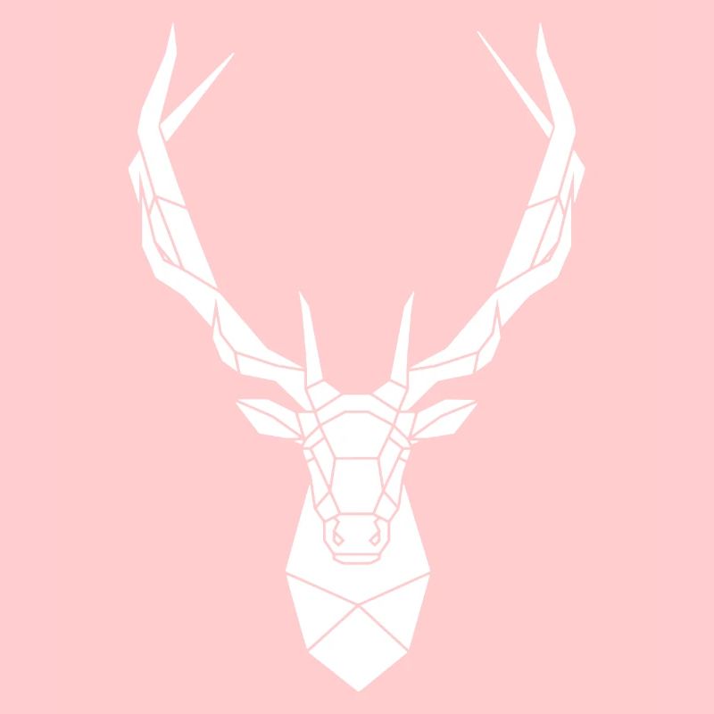 Poly Rotwild Hirsch Geweih