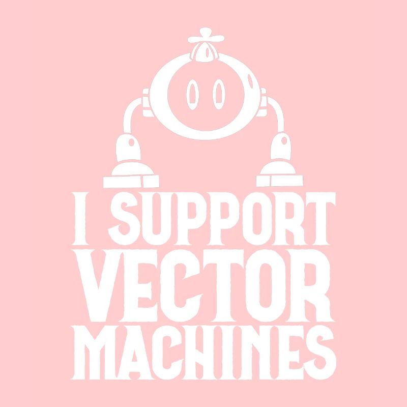 I Support Vector Machines 2