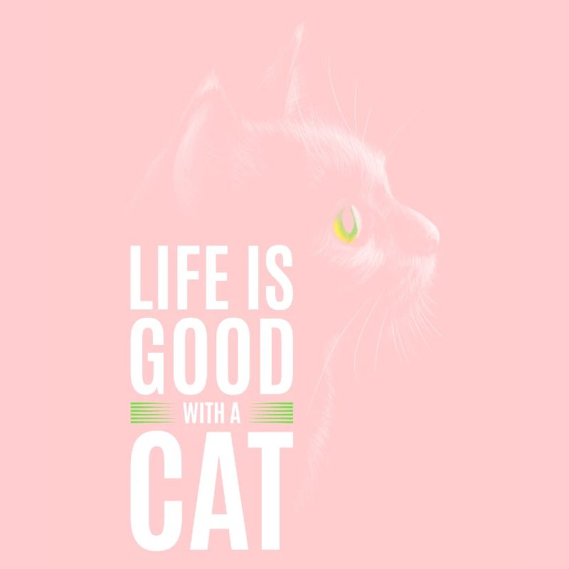 Das Leben Ist Gut Mit Einer Katze